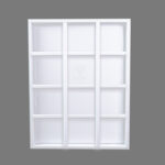 Charol de 12 diviciones